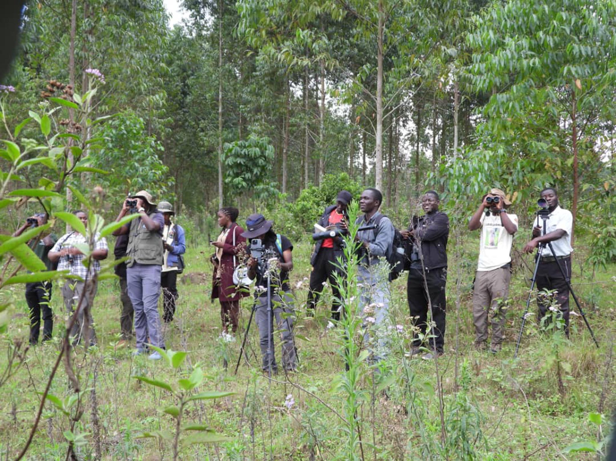Entebbe Birding Club activity 8